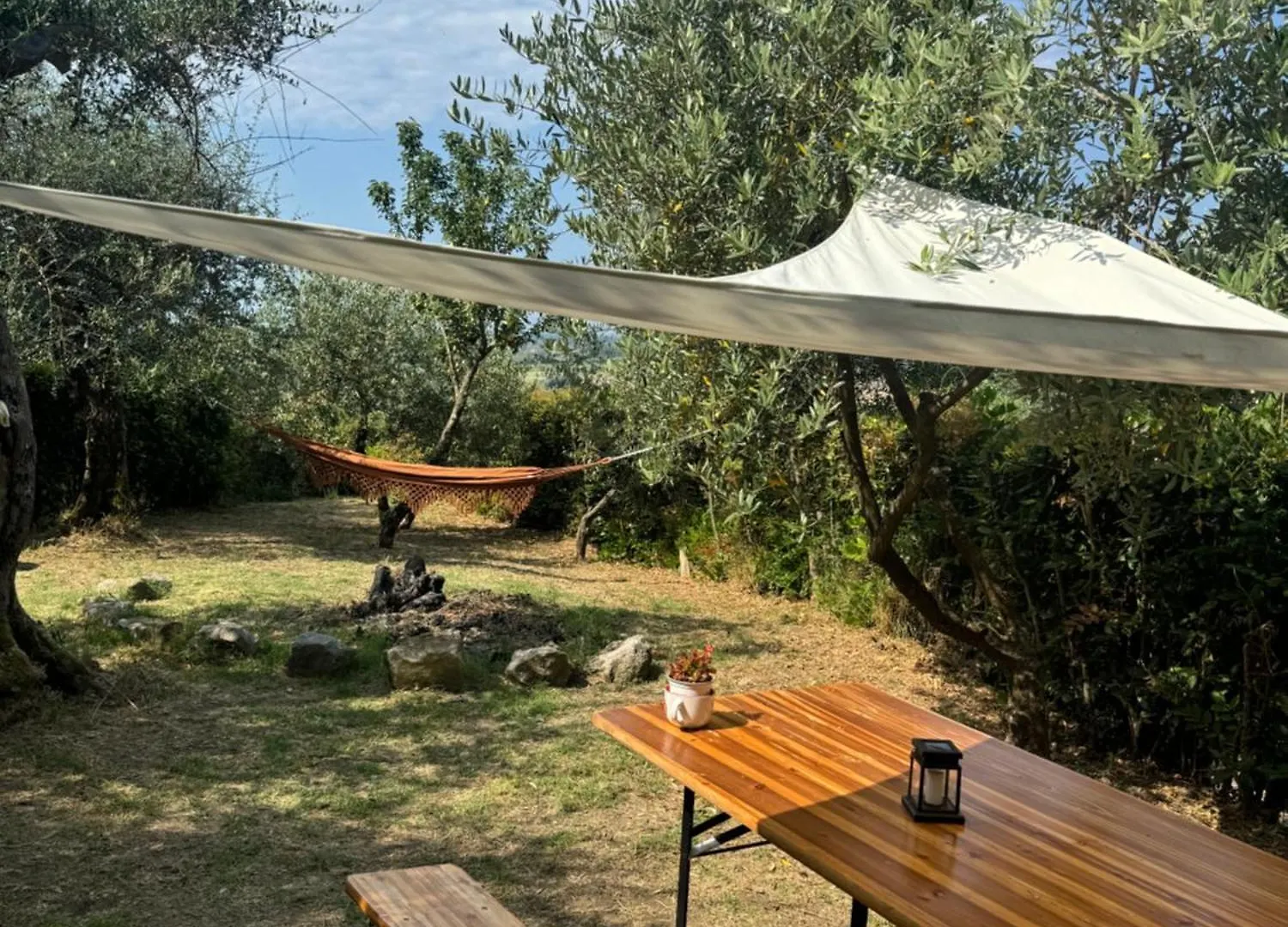Agrihome Di Alberto Giuseppe Gulotta B&B Bella Vista Chalet La Vista 马萨罗萨 意大利