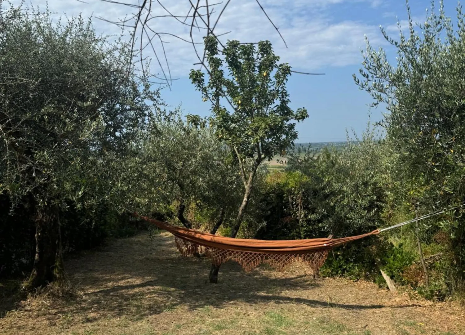 Agrihome Di Alberto Giuseppe Gulotta B&B Bella Vista Chalet La Vista 马萨罗萨 0*,  意大利