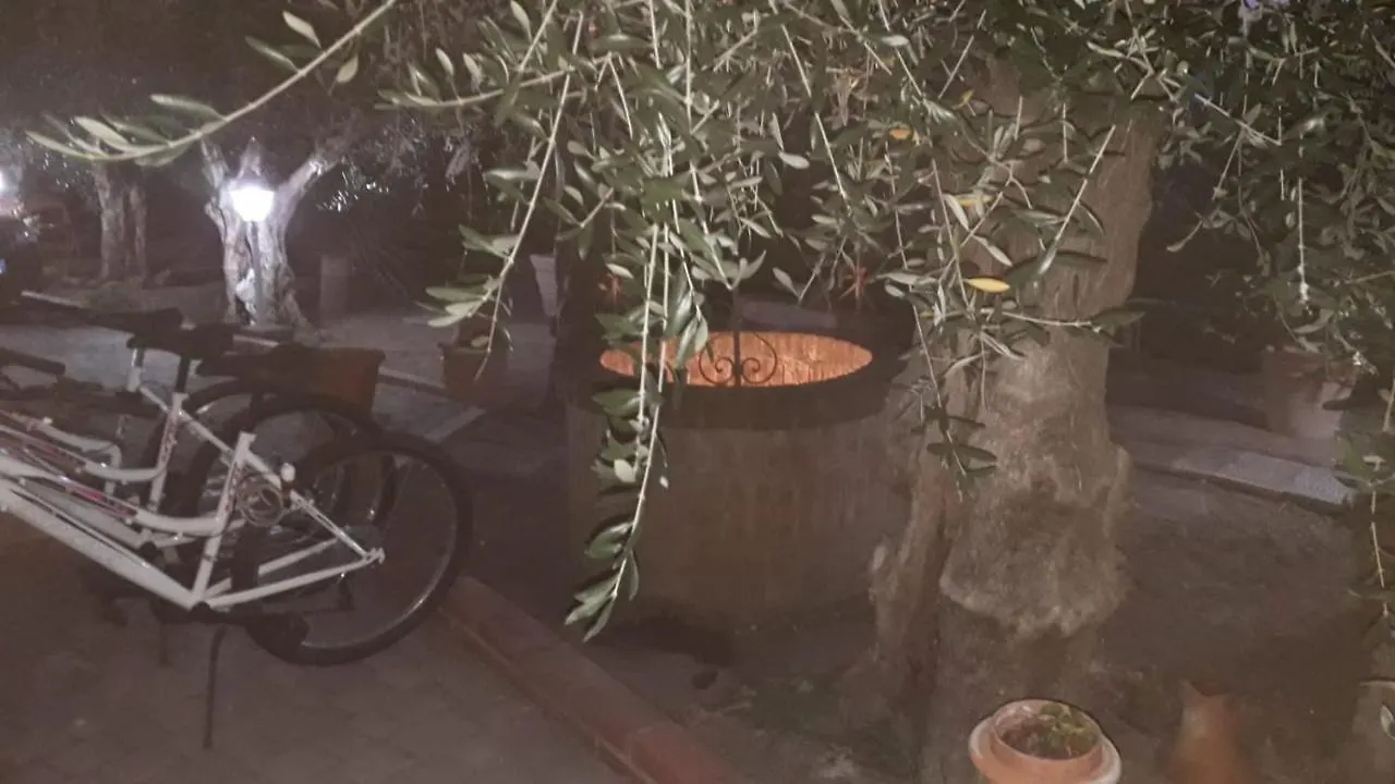 Agrihome Di Alberto Giuseppe Gulotta B&B Bella Vista Chalet La Vista Massarosa 0*,