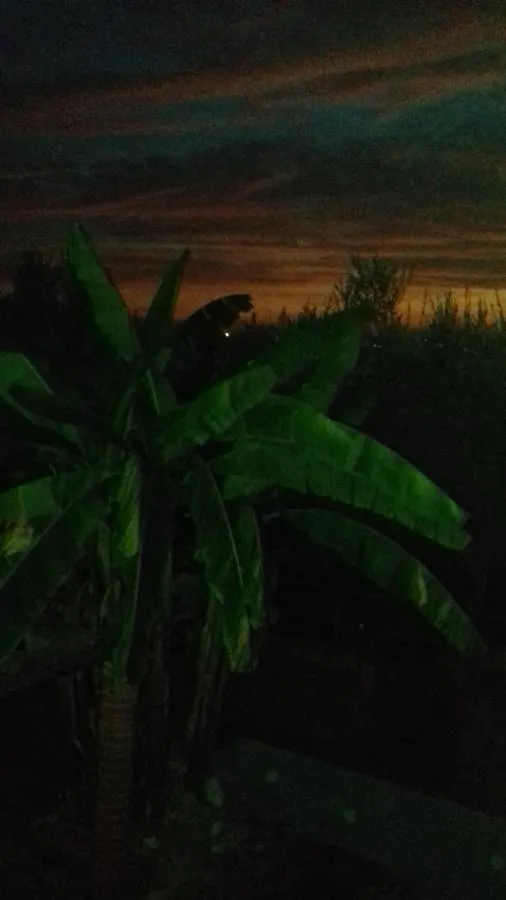 Apartment Agrihome Di Alberto Giuseppe Gulotta B&B Bella Vista Chalet La Vista Massarosa Italy