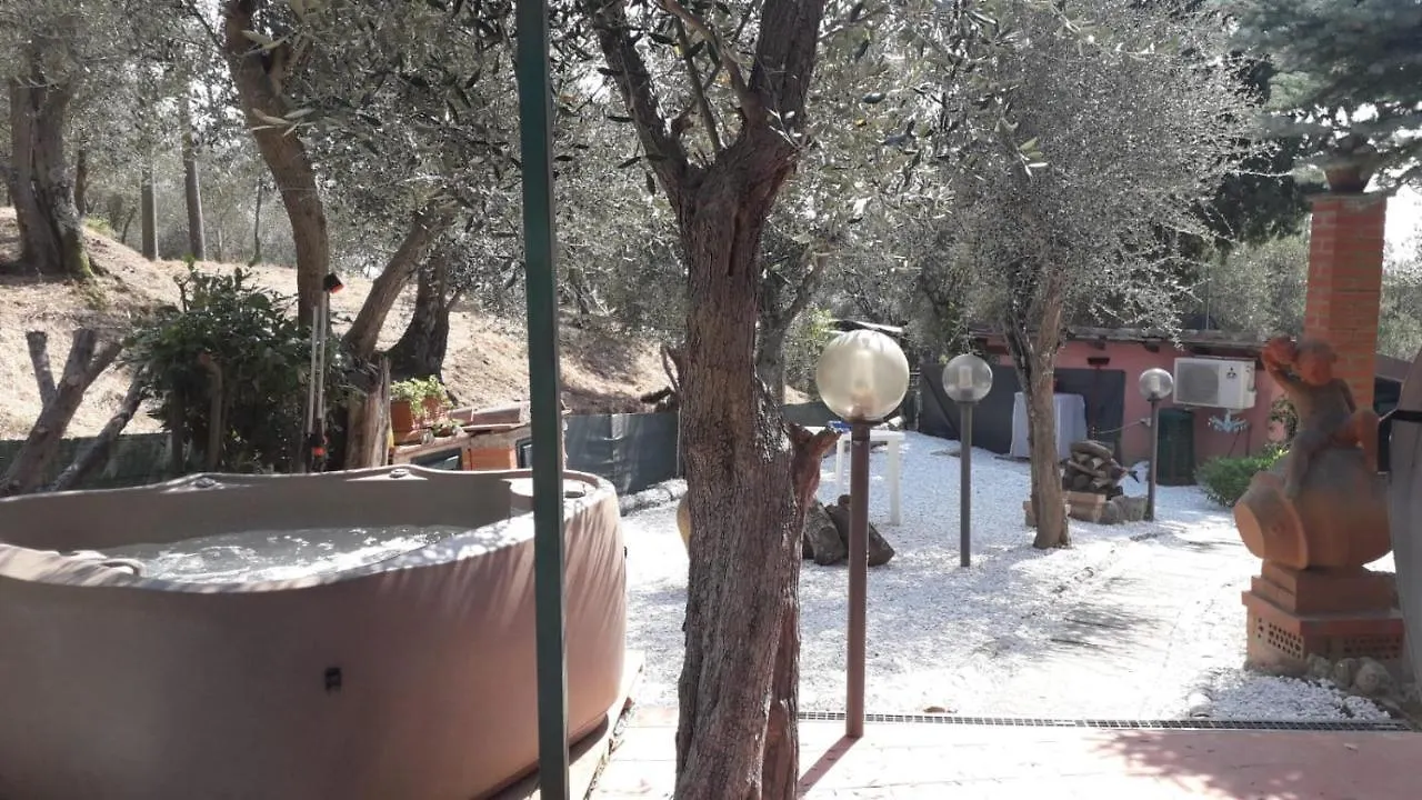 Agrihome Di Alberto Giuseppe Gulotta B&B Bella Vista Chalet La Vista Massarosa Italy