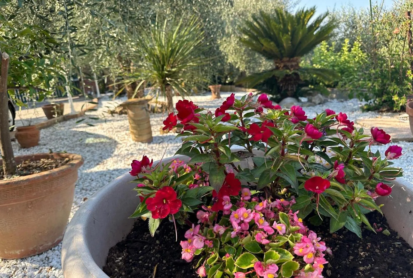 Apartment Agrihome Di Alberto Giuseppe Gulotta B&B Bella Vista Chalet La Vista Massarosa